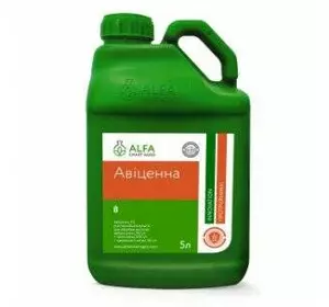 протруйник Авіцена протруйник Авіцена