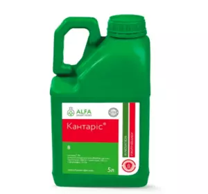 Протруйник Кантаріс Протруйник Кантаріс